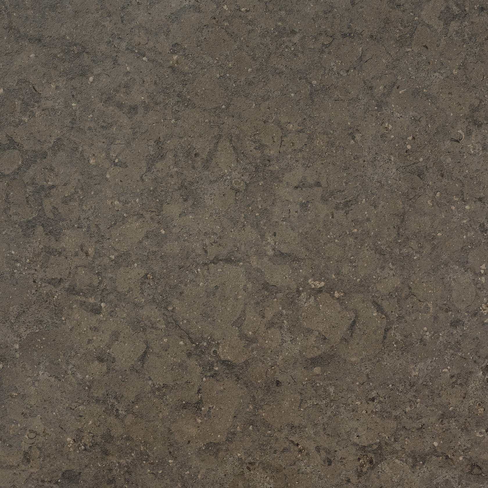 Porcelain stoneware in a timeless design | - Azul Olive Honed - Bricmate